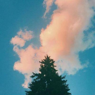 金沙乐娱app下载官网版