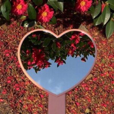 爱游戏综合APP下载