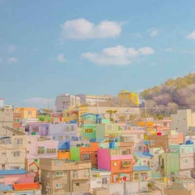 开元ky888棋牌开元登录