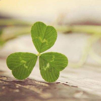 买球的app排行榜前十名推荐手机app下载